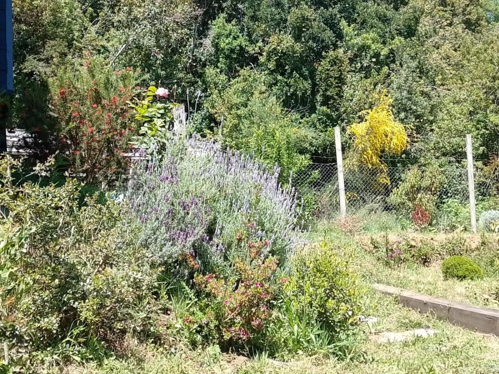 Casa Con Hermosa Vista Y Tranquilidad